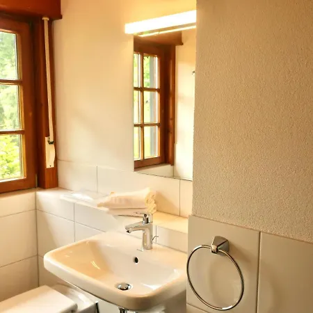 Schmalzerhisli Appartement