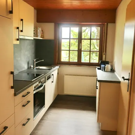 Schmalzerhisli Appartement Oberwolfach