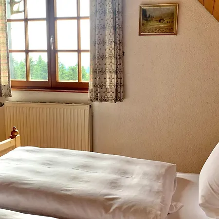 Schmalzerhisli Apartment *