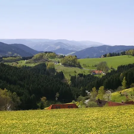 Schmalzerhisli Oberwolfach