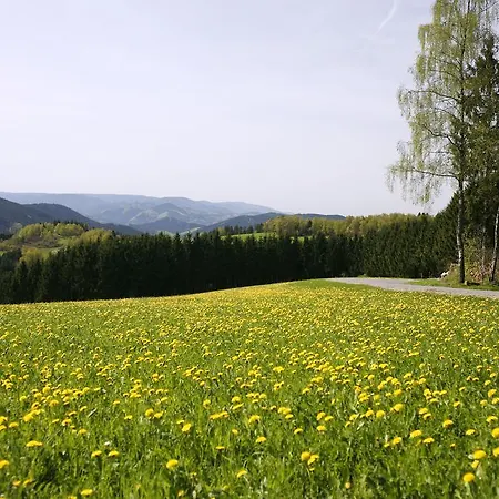 Lägenhet Schmalzerhisli *