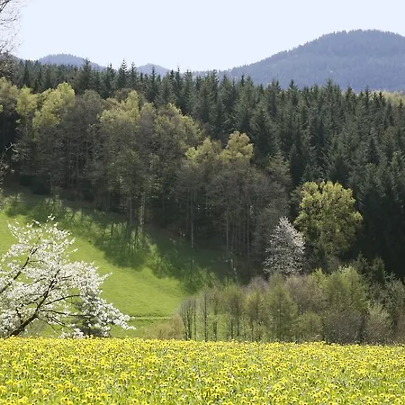 Schmalzerhisli