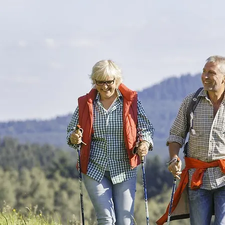 Appartement Schmalzerhisli Oberwolfach