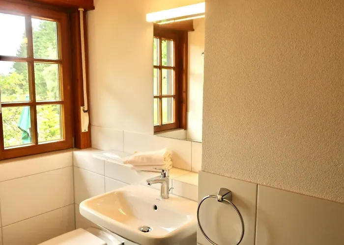 Schmalzerhisli Apartment