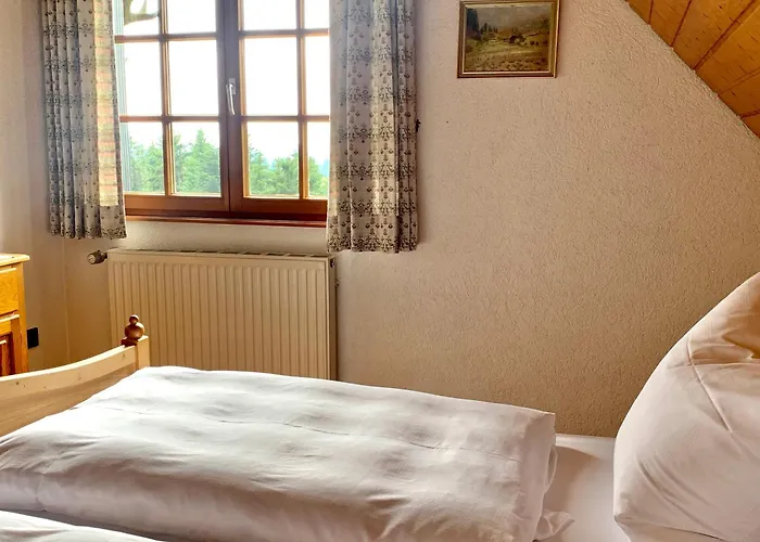 Schmalzerhisli Apartment *