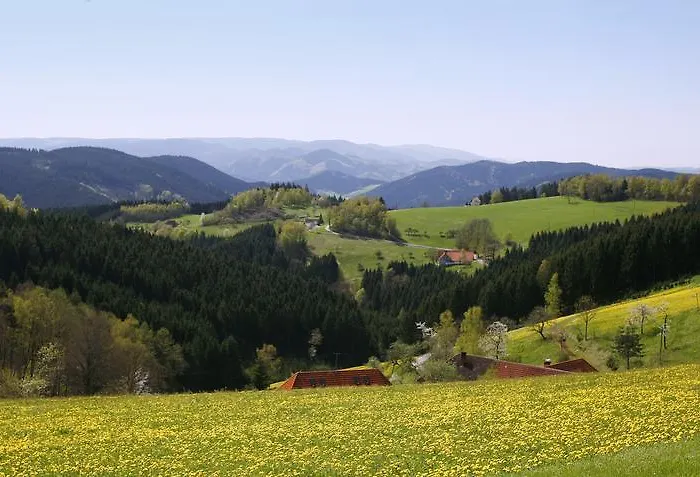 Schmalzerhisli Oberwolfach