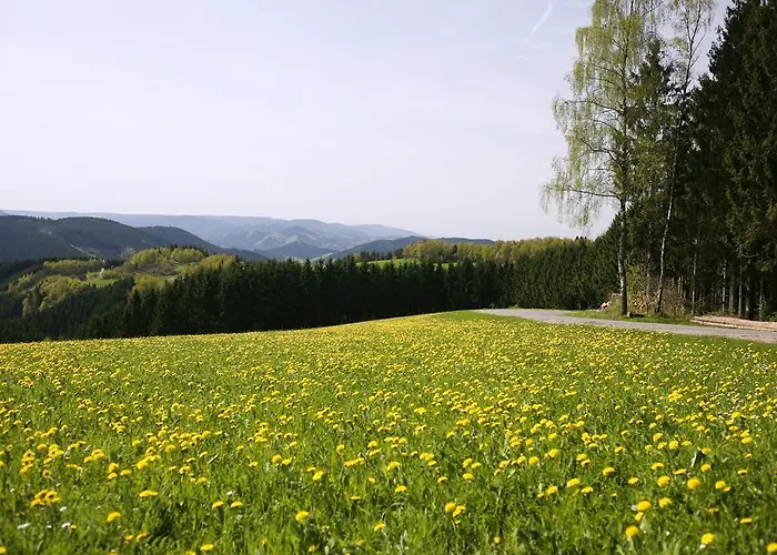 Apartment Schmalzerhisli *