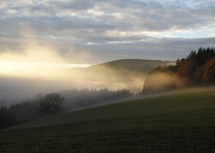 Apartment Schmalzerhisli *